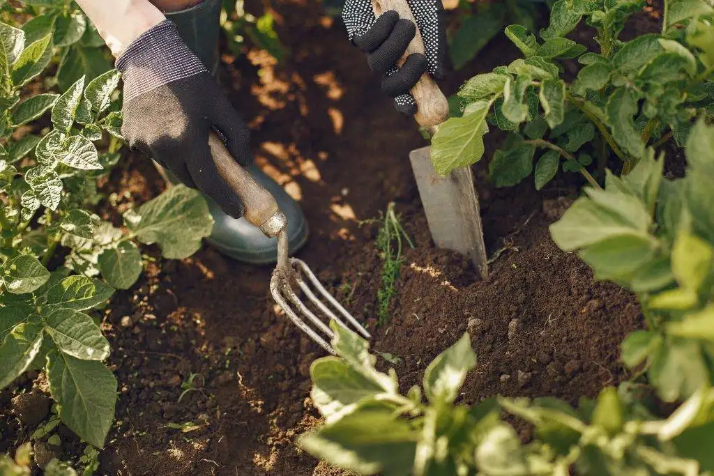 Landscape Supply Company Charlotte