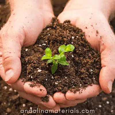 Mulch can be used in flower beds, around trees, or on the edges of garden paths