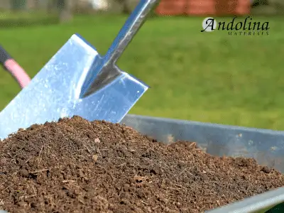top soil charlotte (1)