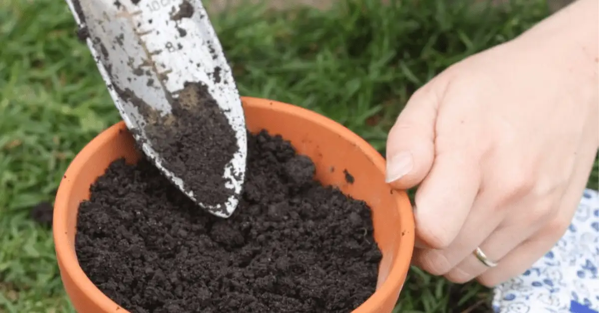 Garden Soil
