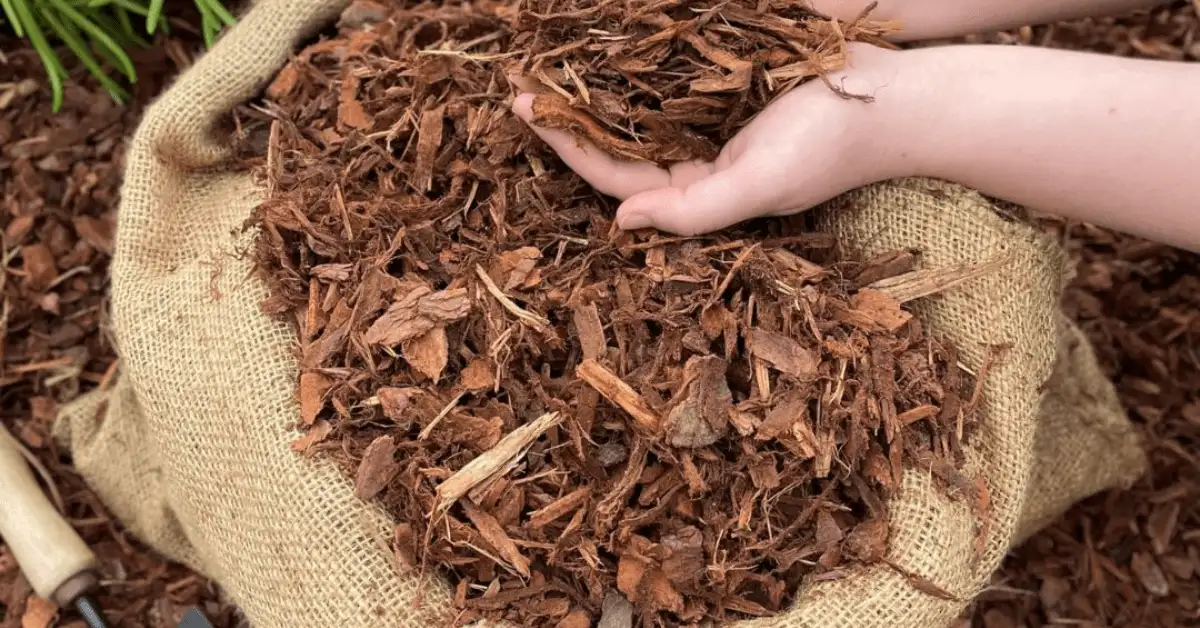 Mulch