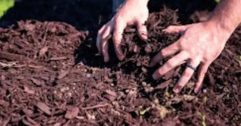 bulk mulch delivery services