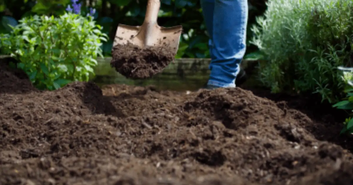 topsoil delivery service