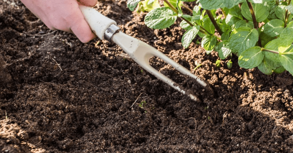 topsoil delivery near Indian Trail