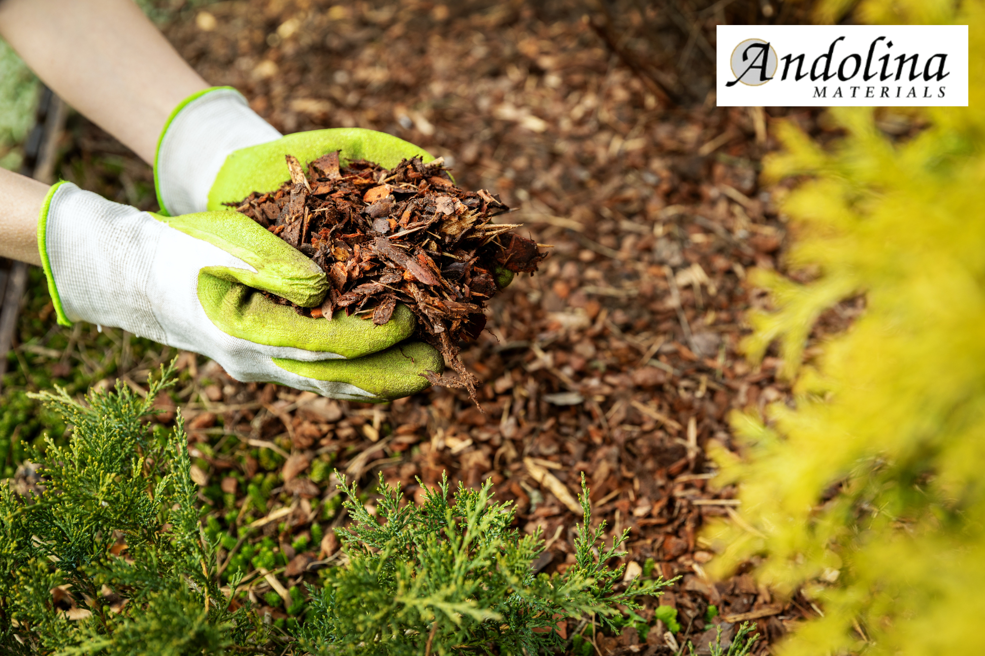mulch delivery in charlotte