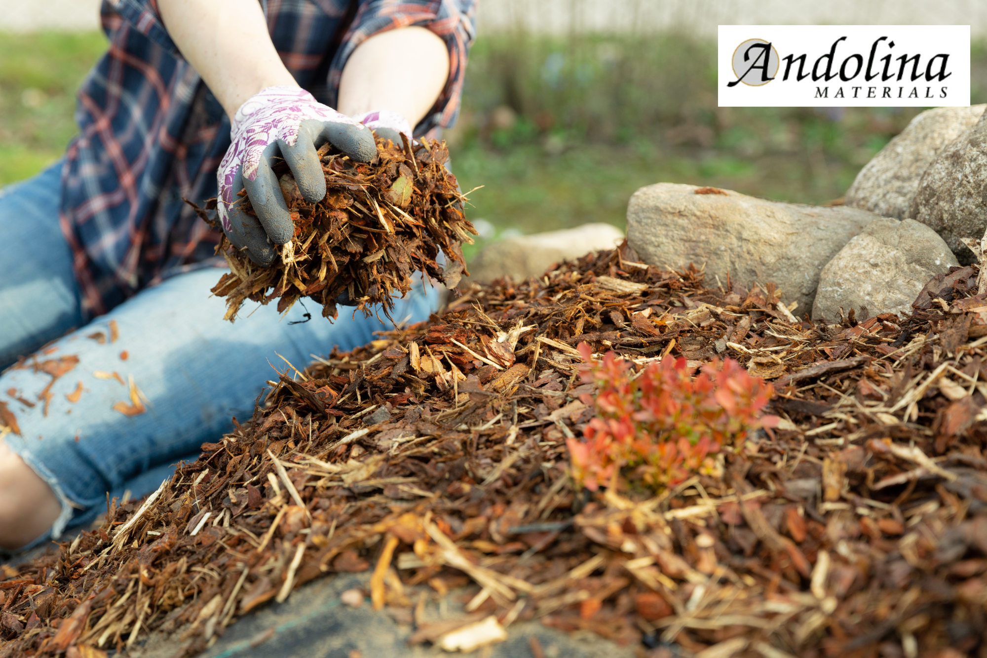 mulch