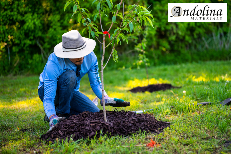 mulch in charlotte