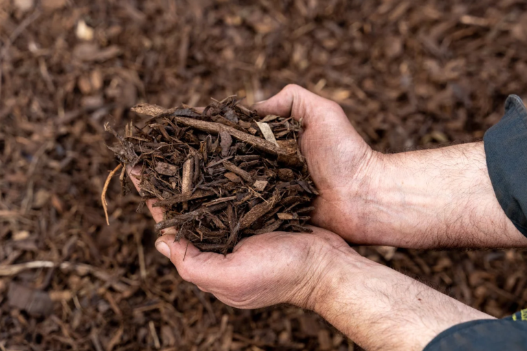 mulch delivery in charlotte