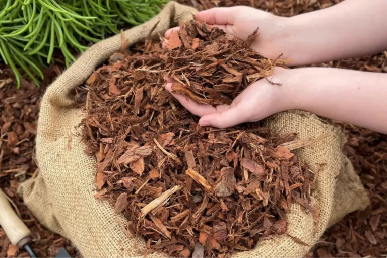 Close-up of hands holding mulch over a burlap sack with more mulch around.