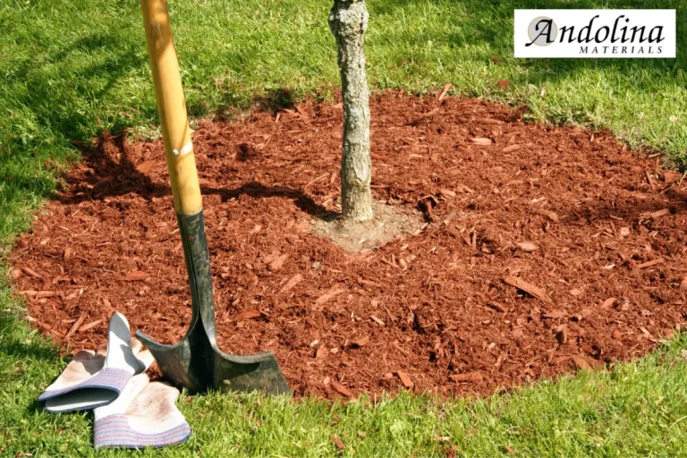 A shovel and gloves next to a freshly mulched tree base