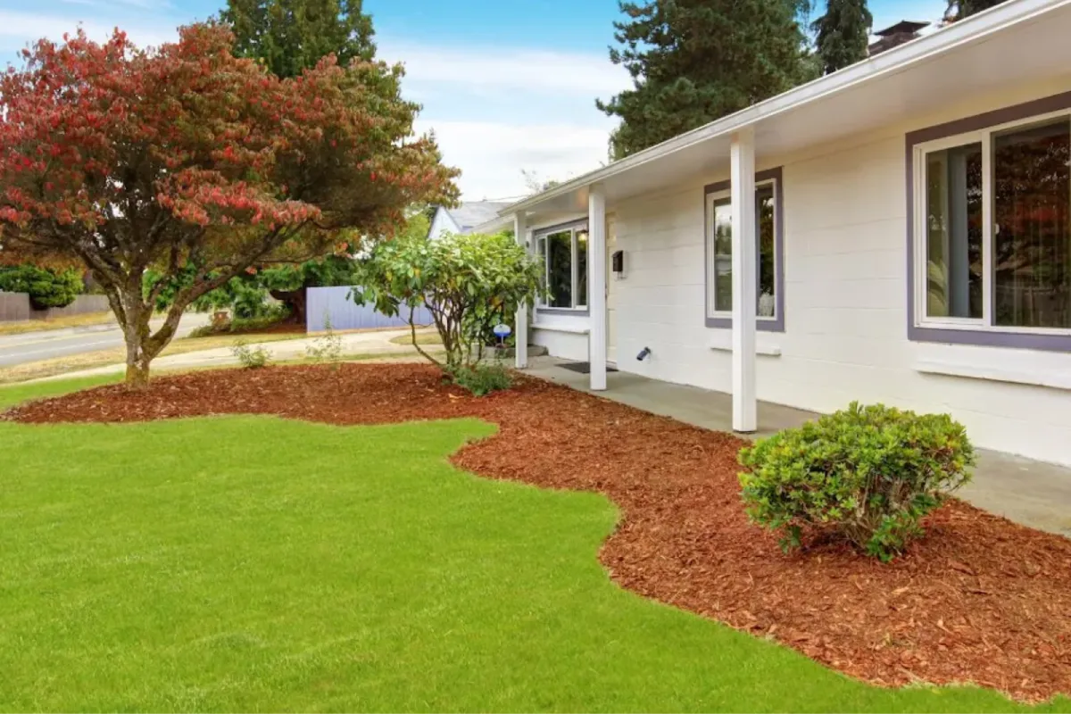 Front yard with red mulch and green lawn.