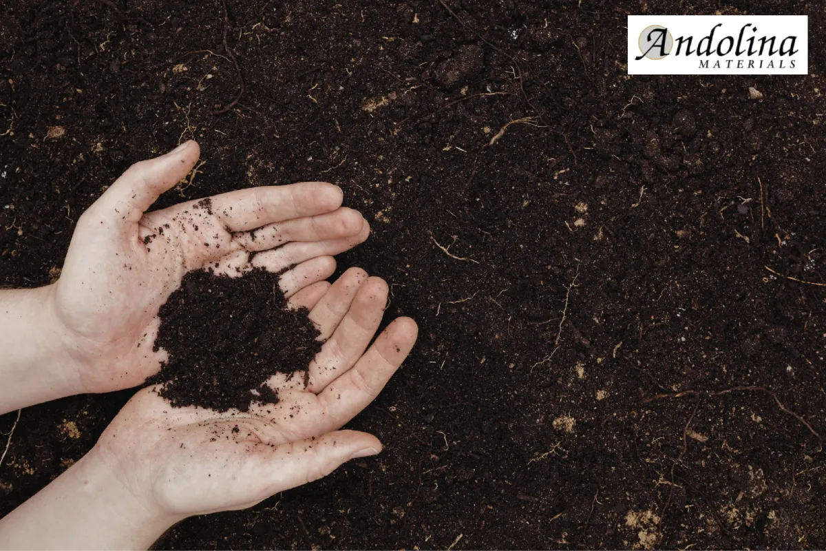 Hands holding rich topsoil for garden planting.